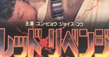 未DVD化のレア作品 - 元レンタル店店長まぁくのB級日常映画館